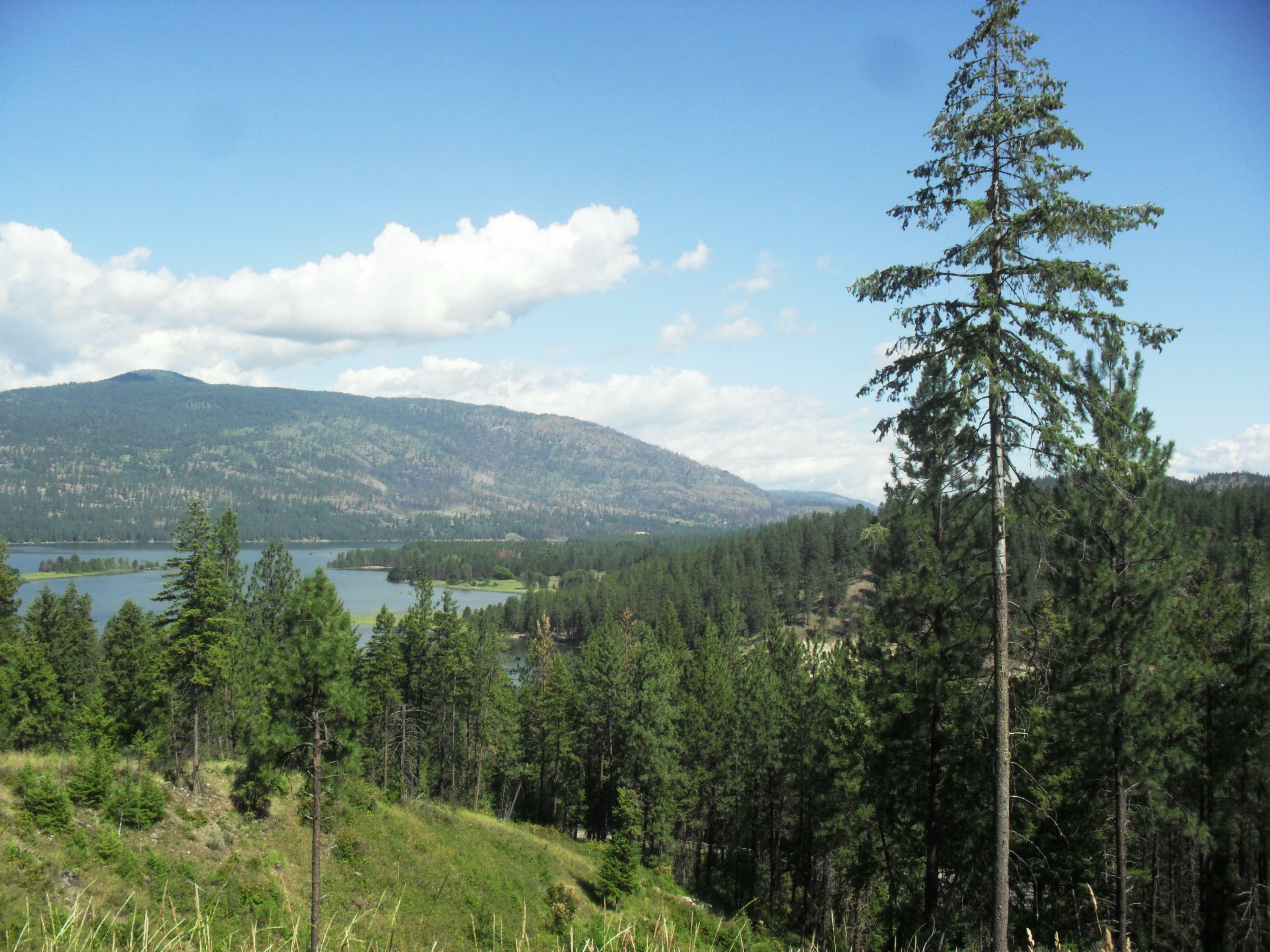 Property Photo: Xxxx S Wa- 25 Hwy WA 99141