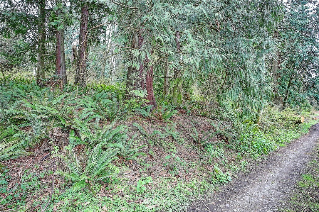 Property Photo:  3337 Kazda Court  WA 98282 