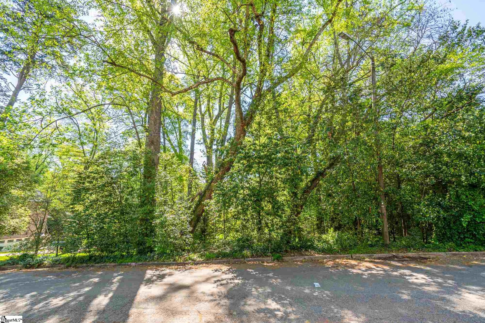 Property Photo: 0 Pine Forest Drive SC 29601