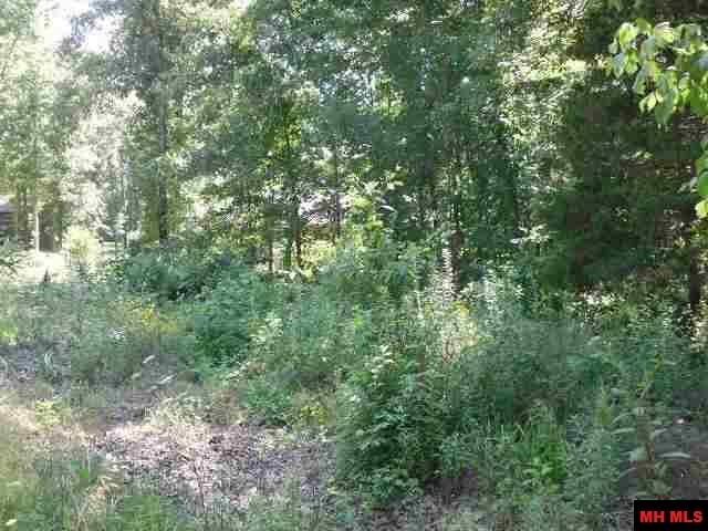 Property Photo:  000 Pebblecreek Drive  AR 72653 