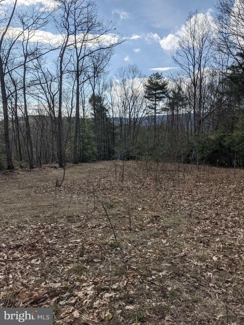 Property Photo: 0 Sugar Run Rd PA 17062