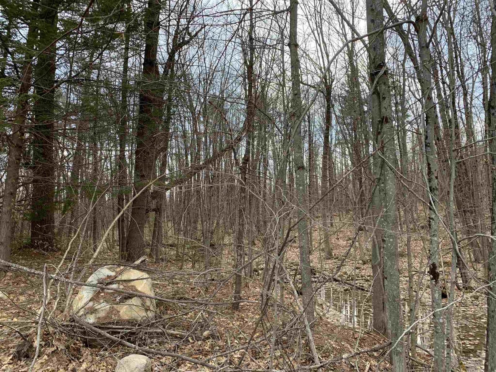 Property Photo:  40 Neal Hill Road  NH 03816 