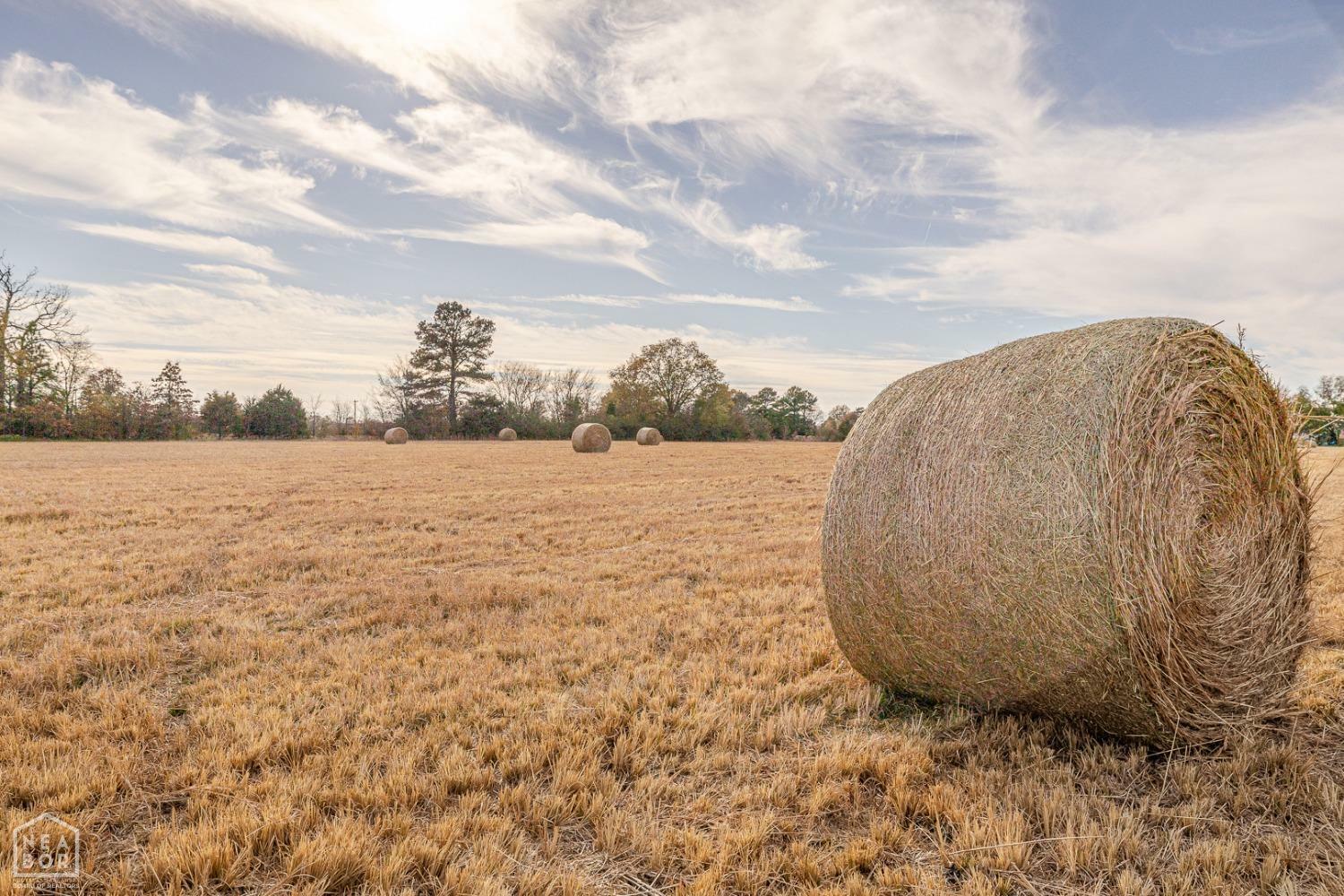 Property Photo:  4108 House Drive  AR 72401 