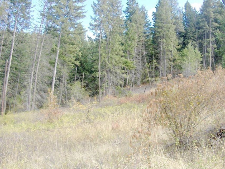 Property Photo:  12xx Lot L Gold Edge Mine Rd  WA 99141 