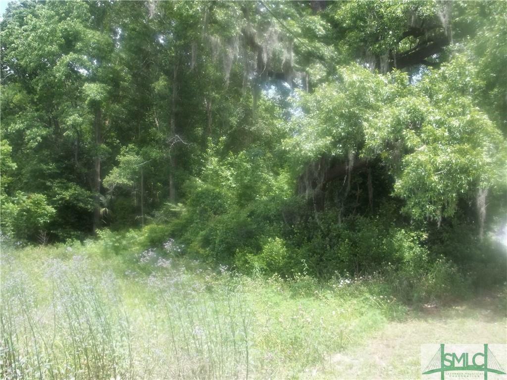 Property Photo:  3125 Ogeechee Road  GA 31405 