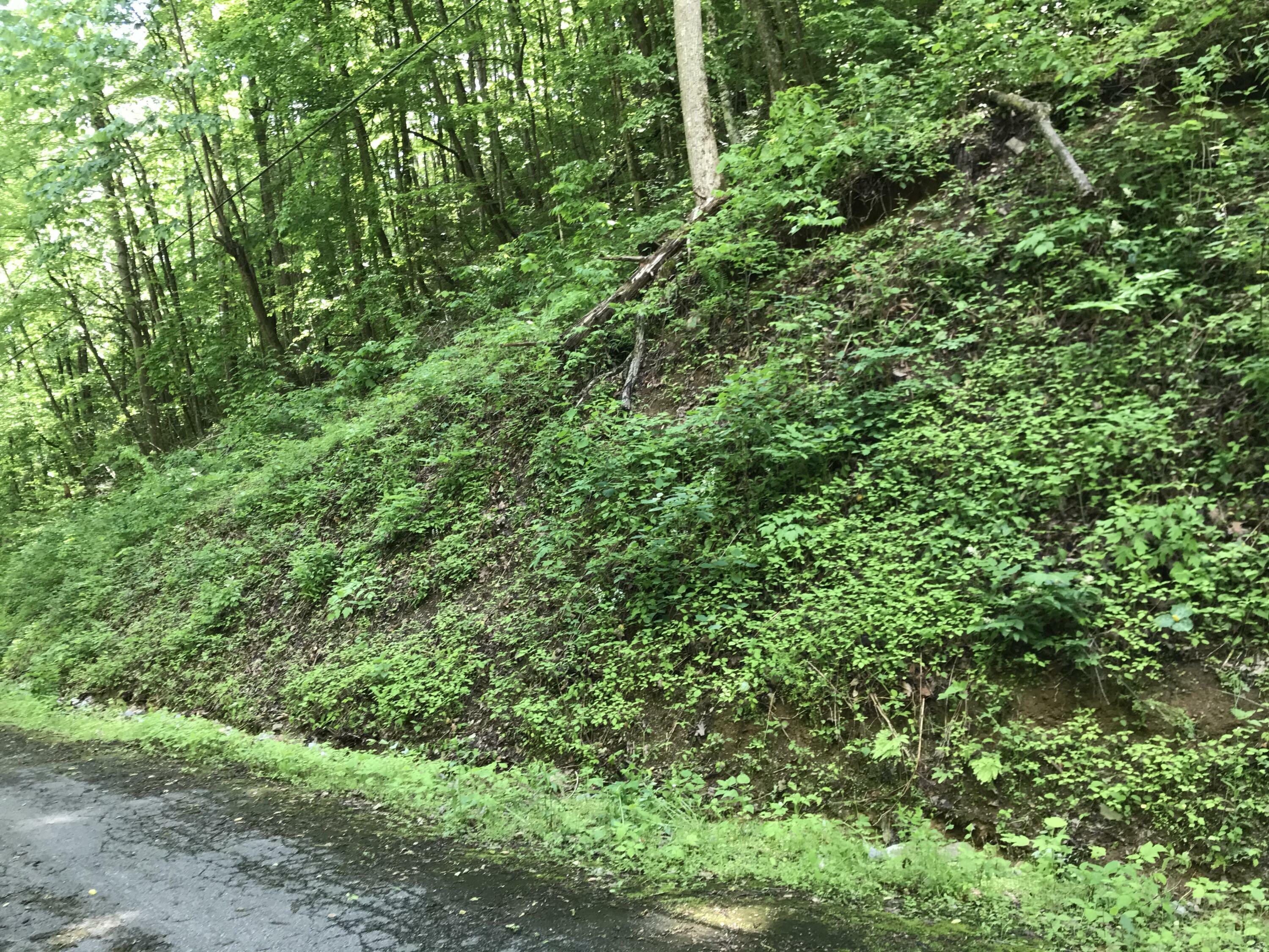 Property Photo:  Black Walnut Flats Rd  TN 37862 