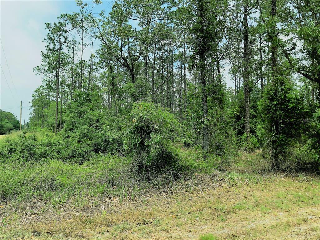 Property Photo:  000 SW Nautilus Blvd  FL 34431 