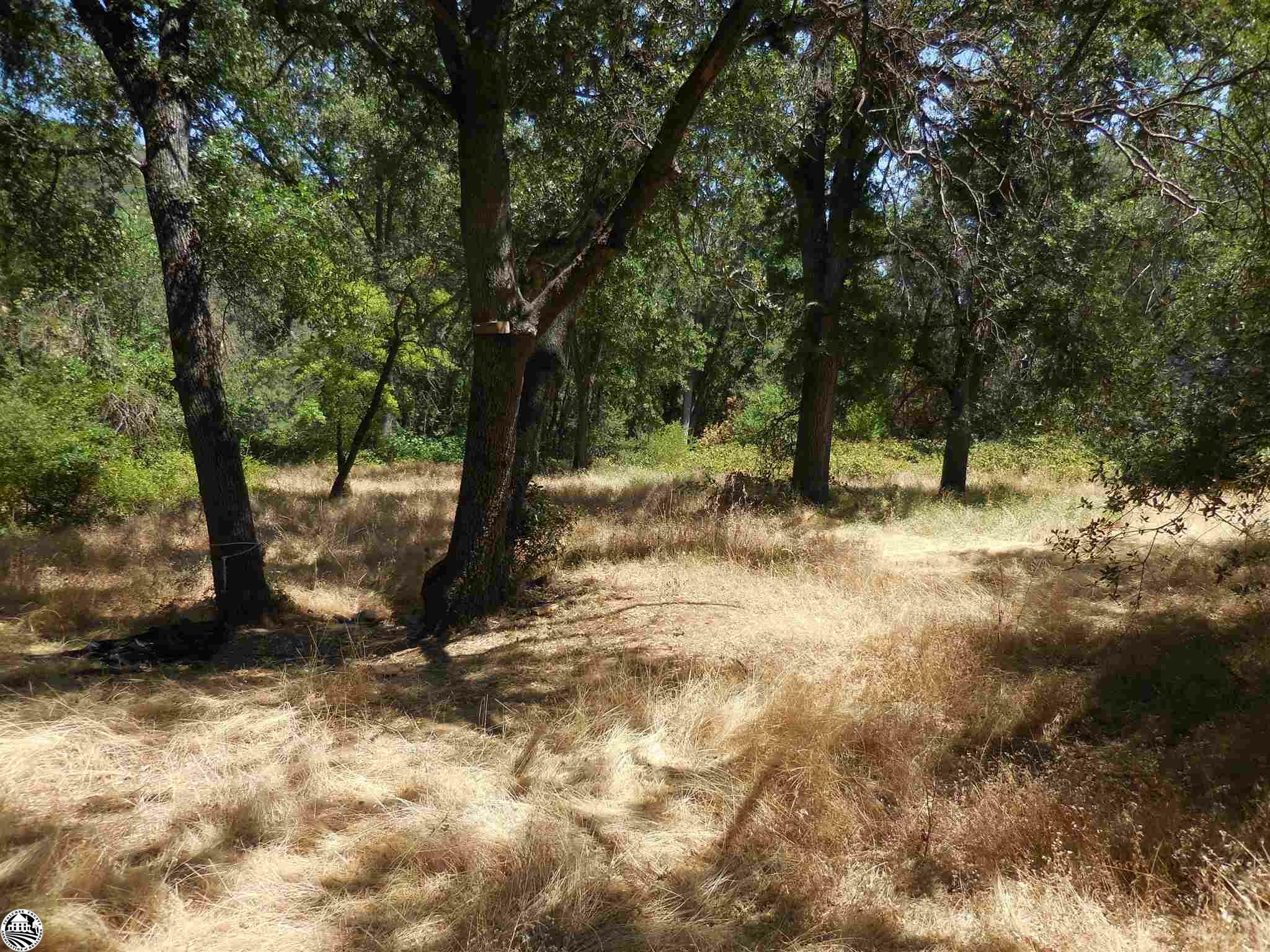 Property Photo:  .74 Acres Preston Place  CA 95370 