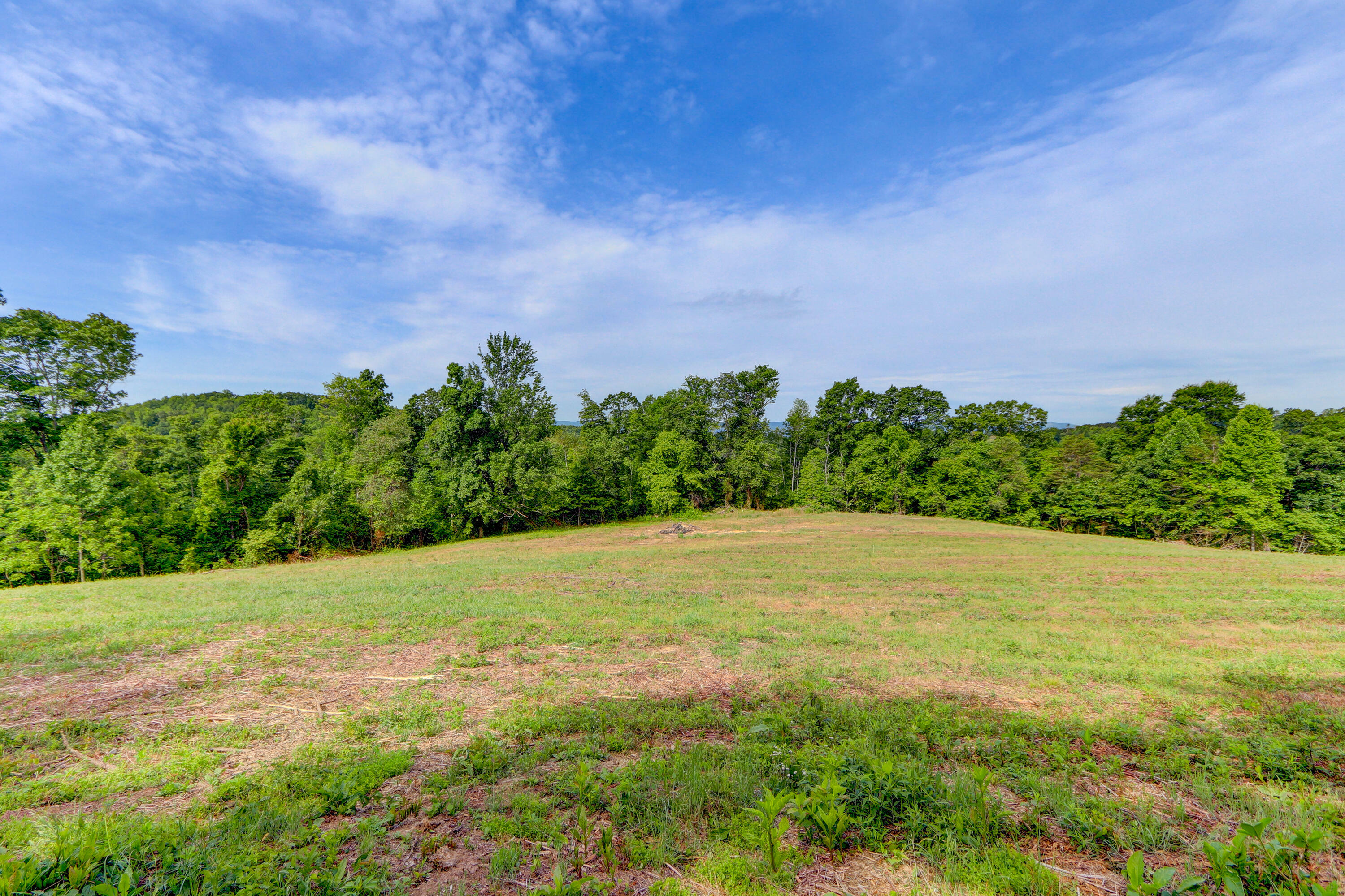 Property Photo:  Country Oaks Lane  TN 37766 