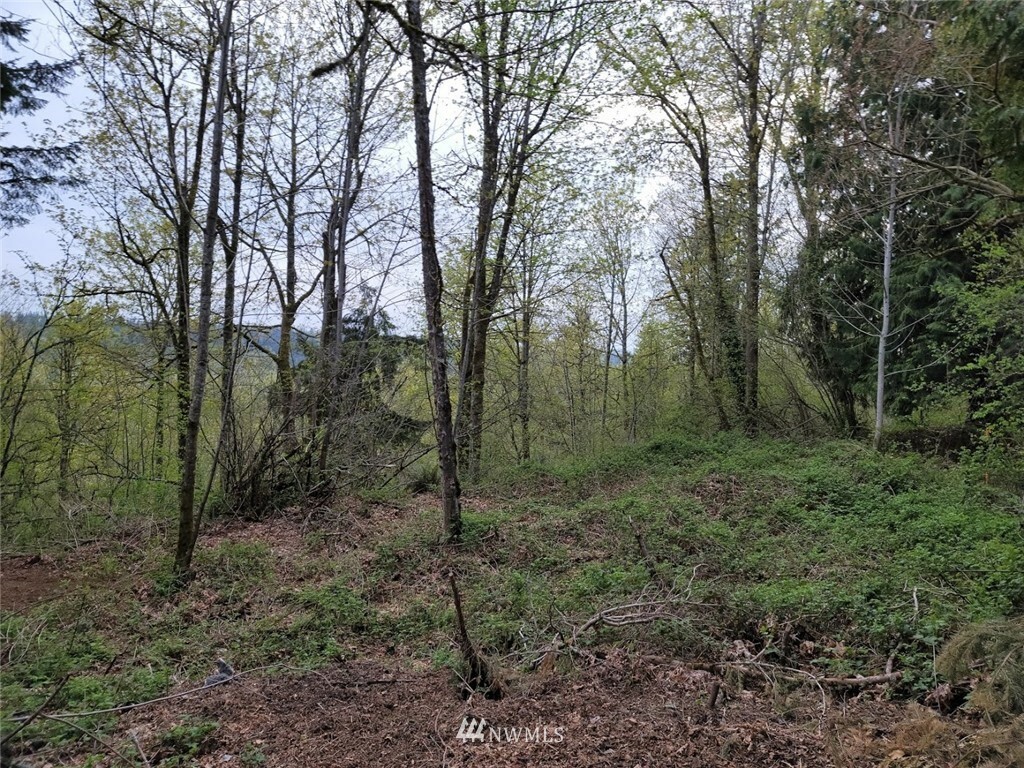 Property Photo: 16200 264th Place SE WA 98027