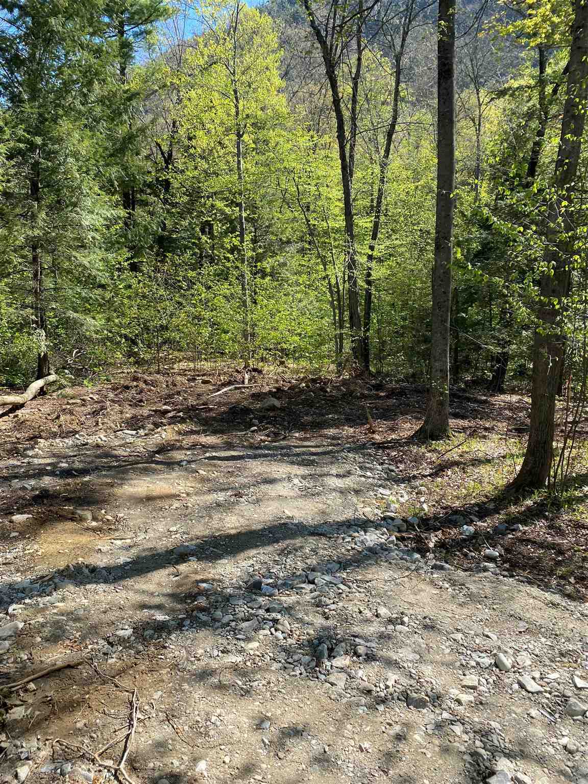 Property Photo: 86 Forest Ridge Drive VT 05443