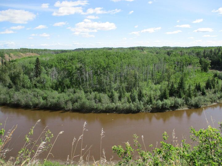 Property Photo: 15231004 Twp Rd 920 AB T0H 2M0