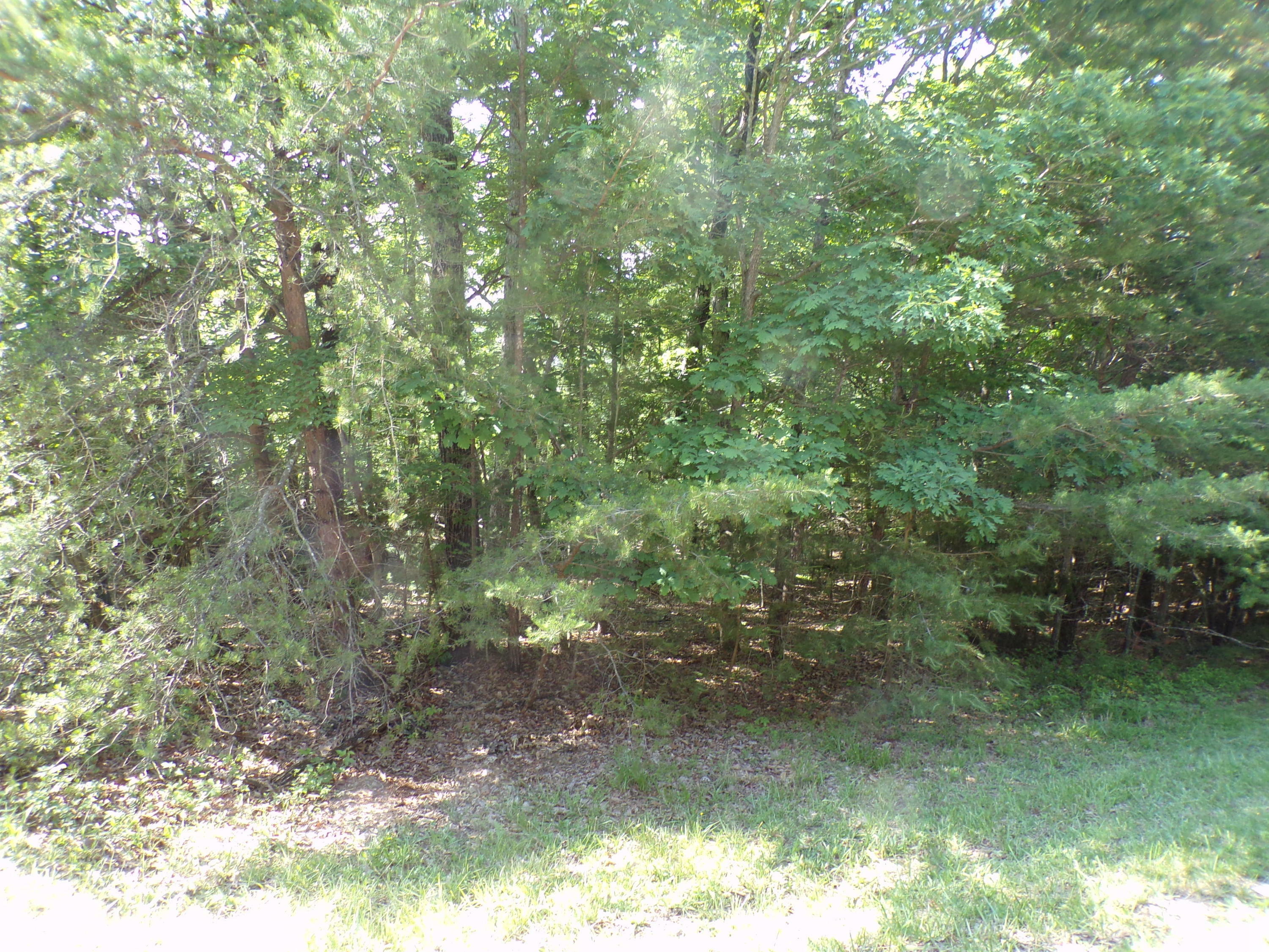 Property Photo:  165 Pineridge Loop  TN 38558 