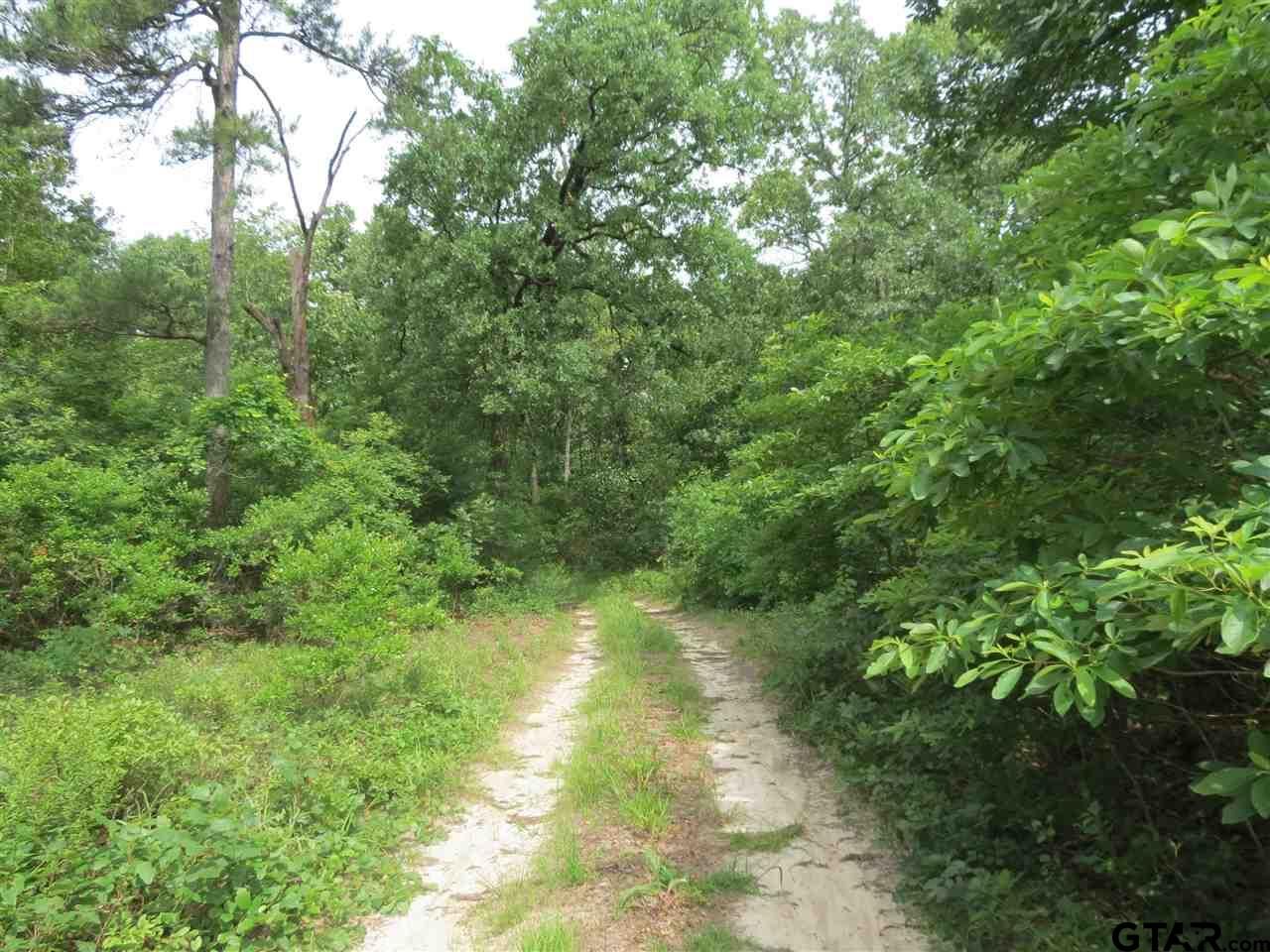 Property Photo:  605 Cr 3580  TX 75494 