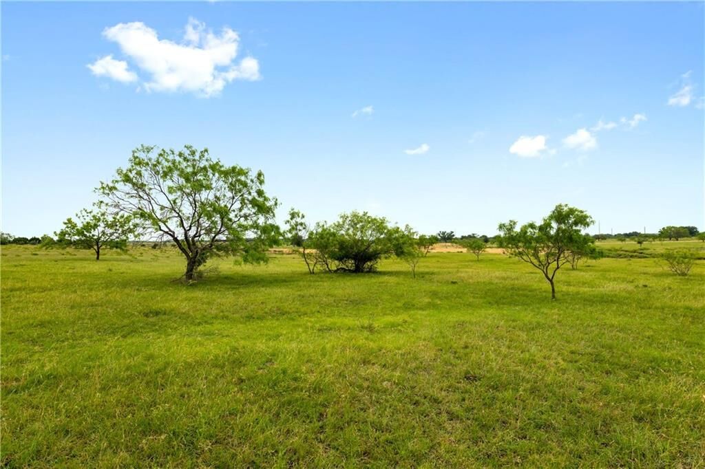 Property Photo:  Tbd County Road 278  TX 78605 