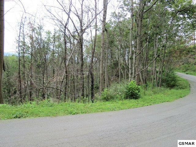 Lot 58 Deer Path Lane  Gatlinburg TN 37738 photo