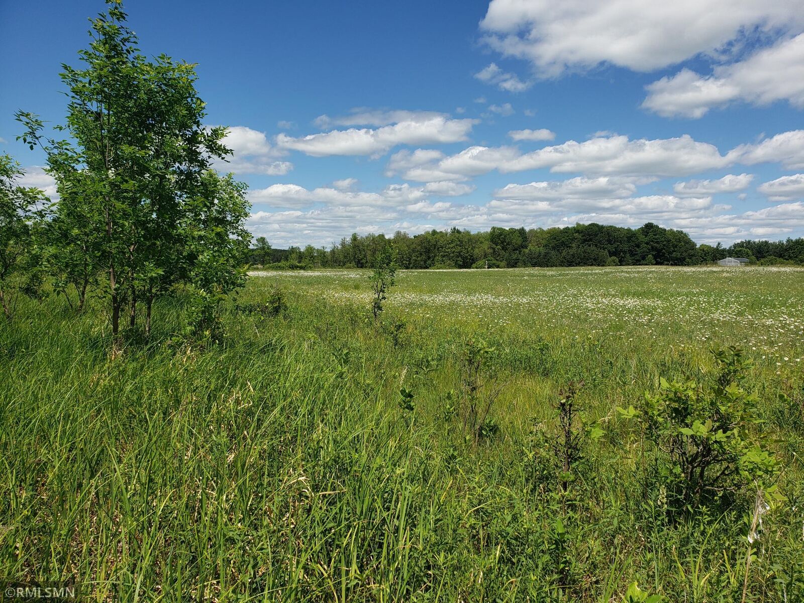 Property Photo: Xxxx 400th Street MN 56386
