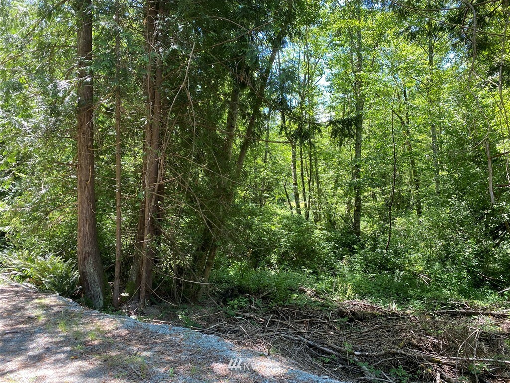 Property Photo:  21562 Little Mountain Road  WA 98274 