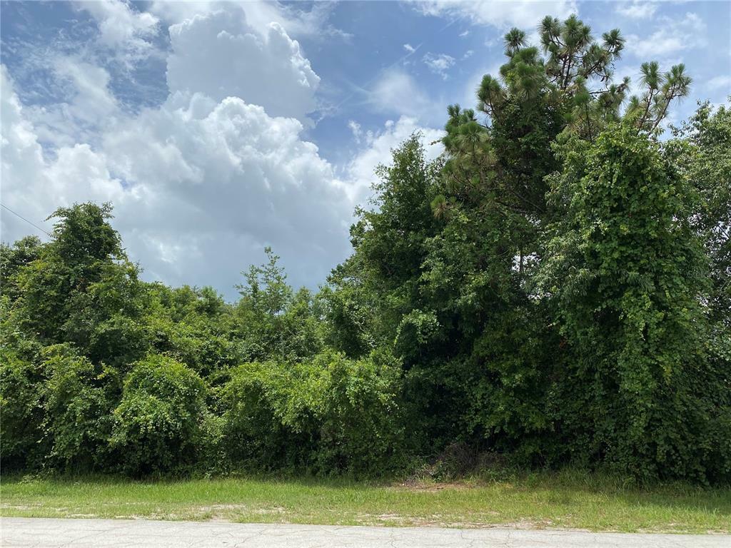 Property Photo:  3449 Florentine Street  FL 32738 