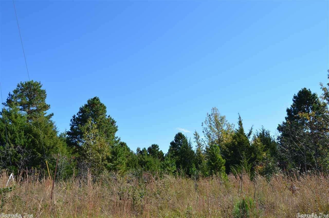 40acres Henderson Way  Morrilton AR 72110 photo