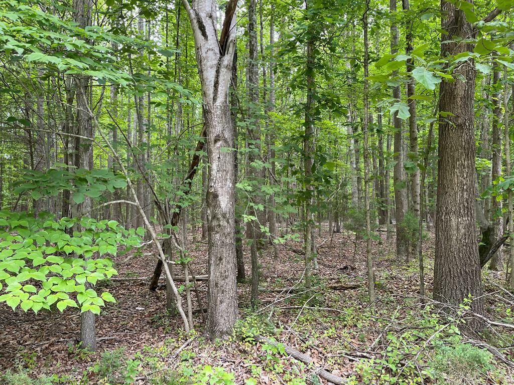 Property Photo:  Farmstead Dr  VA 23040 