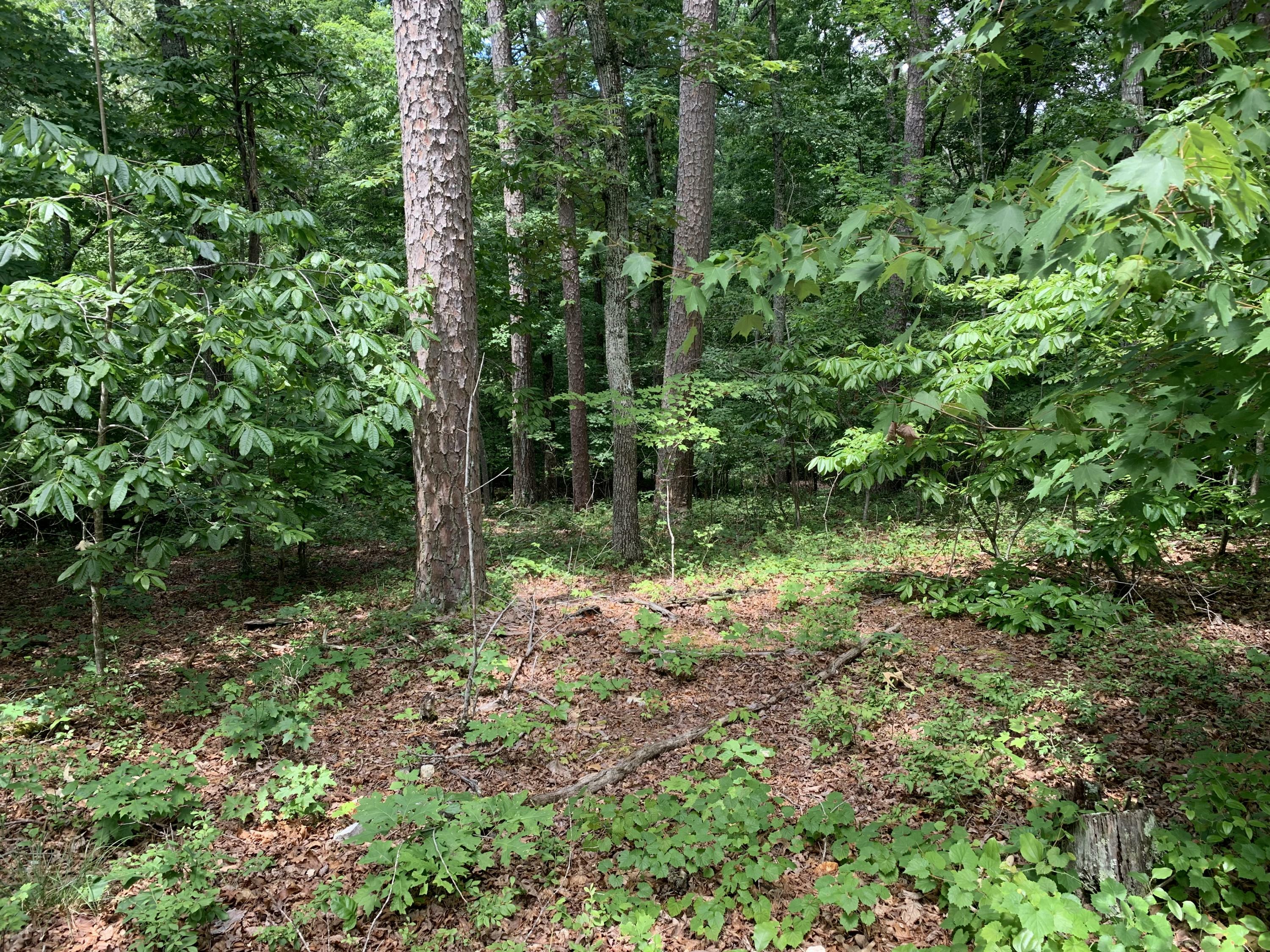 Property Photo: 108 Vinita Way TN 37774