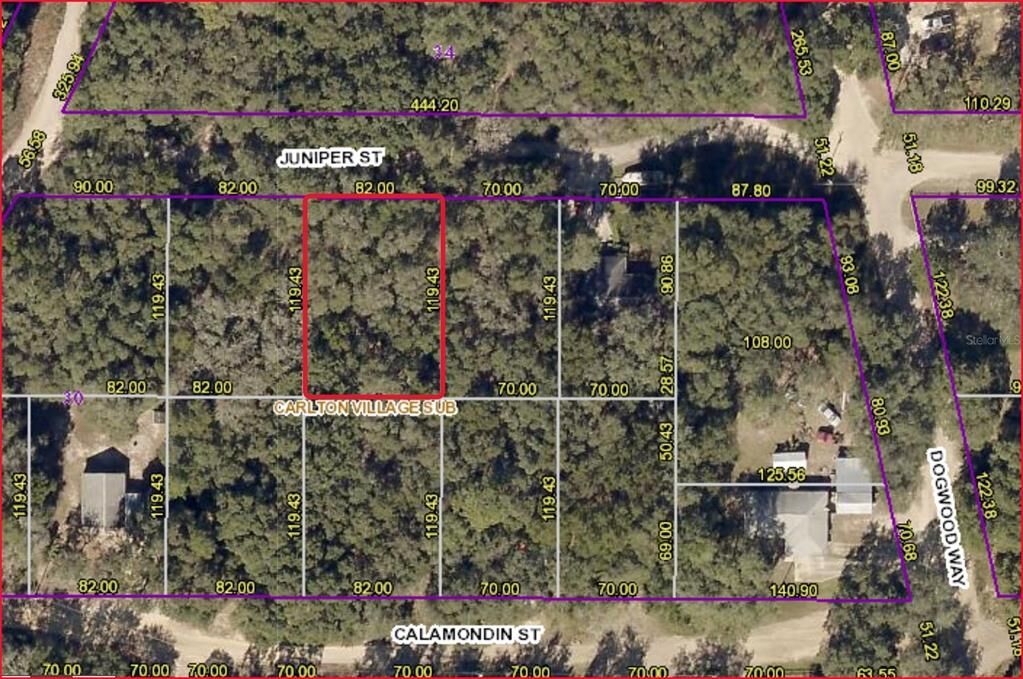 Property Photo: Tbd Juniper Street FL 32159