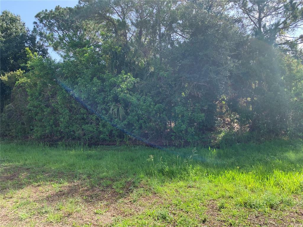 Property Photo: 11667 Oceanspray Boulevard FL 34224