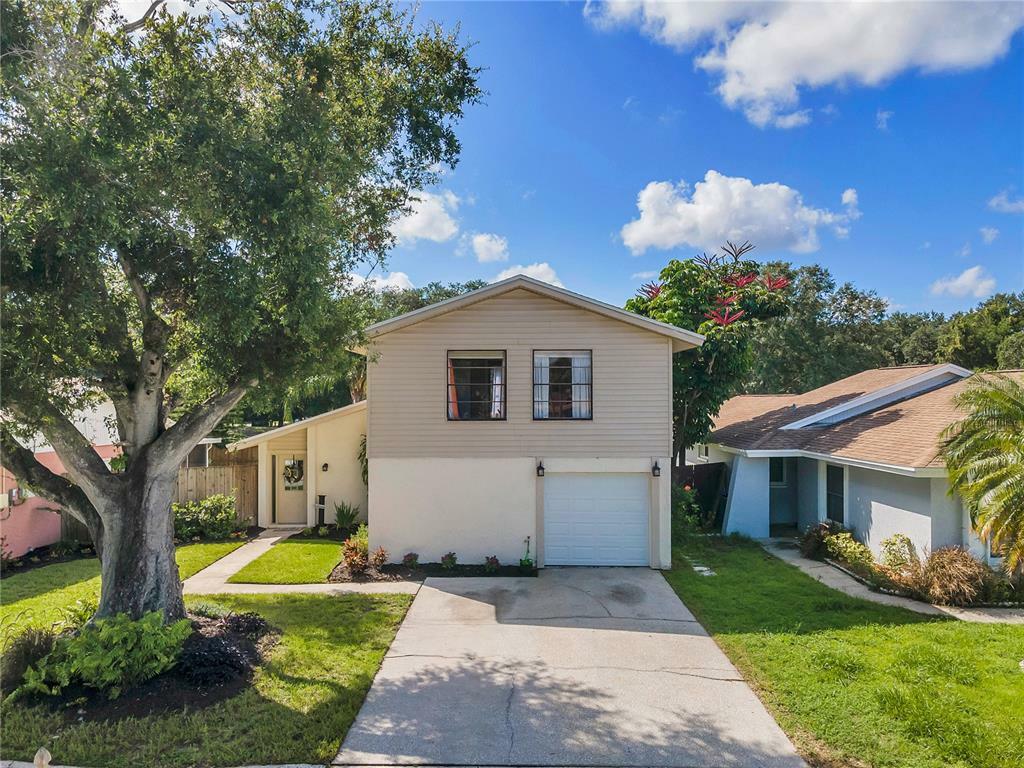 Property Photo:  4518 Millpond Lane  FL 33624 