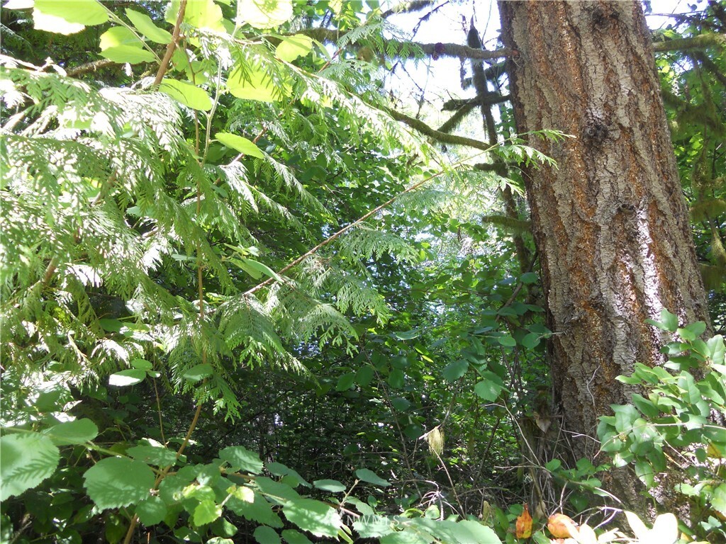 Property Photo: 10319 Narrows Drive WA 98303