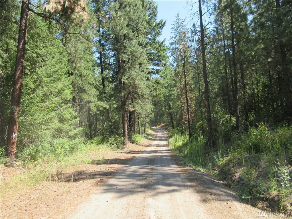 Property Photo: Tbd E San Poil River Rd WA 99166