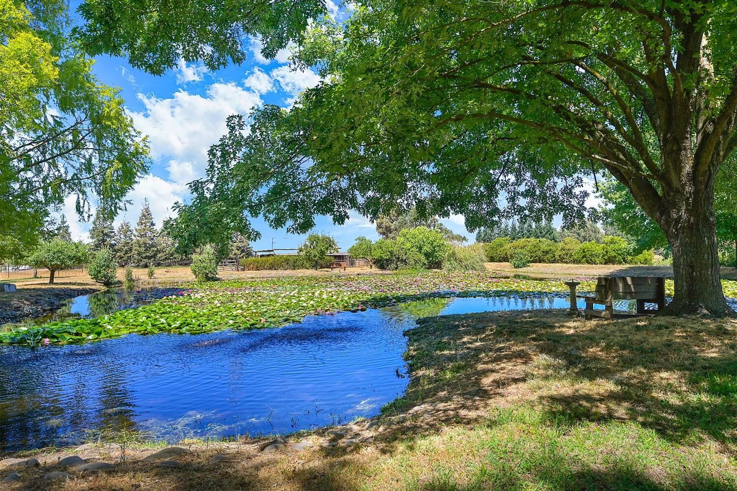 Property Photo: 10631 Freeman Road CA 95693