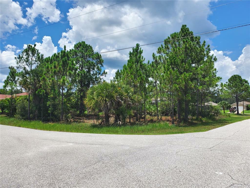 Property Photo:  Schoen Street  FL 34291 