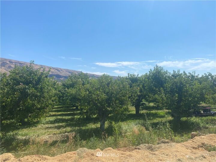 Property Photo: 0 Nna Douglas Street WA 98850