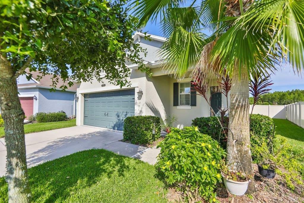 Property Photo:  21365 Southern Charm Drive  FL 34637 