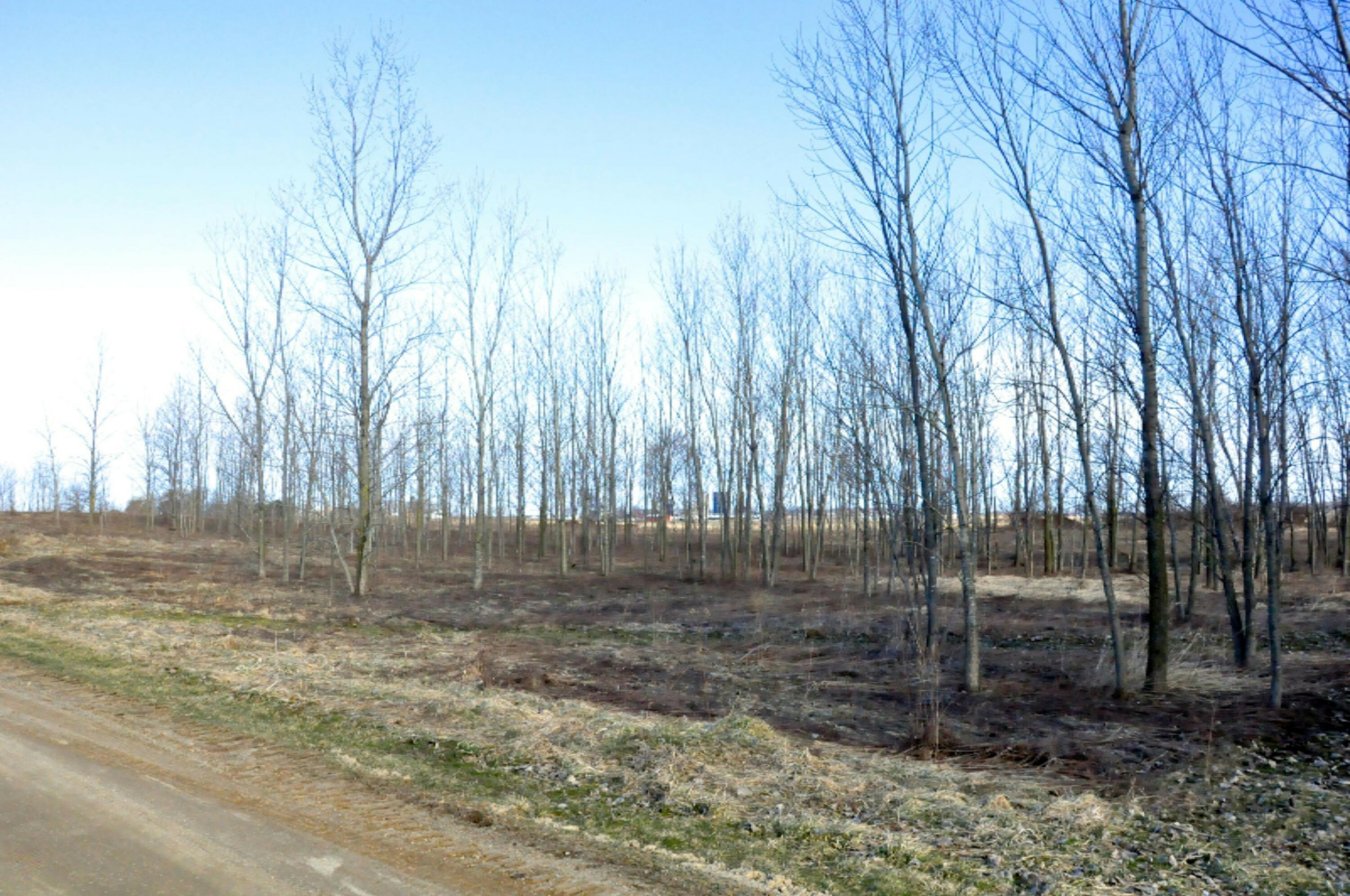 Property Photo: 5305 Springwind Court MI 49464