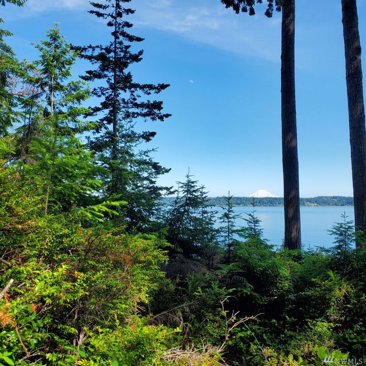 Property Photo:  474 E Chesapeake Dr  WA 98584 