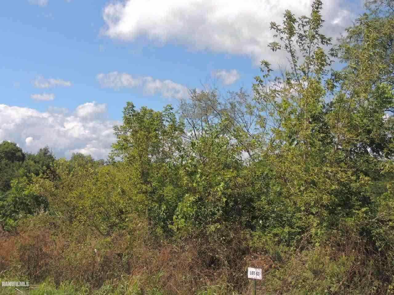 Property Photo:  Lot 63 Sproule Lane  IL 61036 