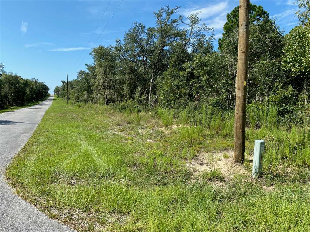 Property Photo:  SW Willow Road Ext  FL 34431 