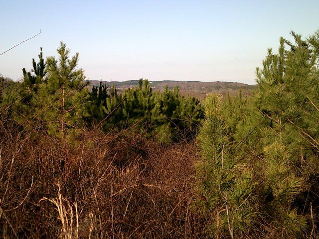 00 Standing Road  Tunnel Hill GA 30755 photo