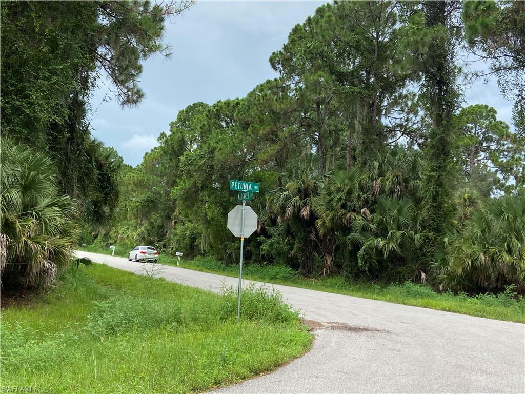 Property Photo:  Petunia Ter  FL 34286 