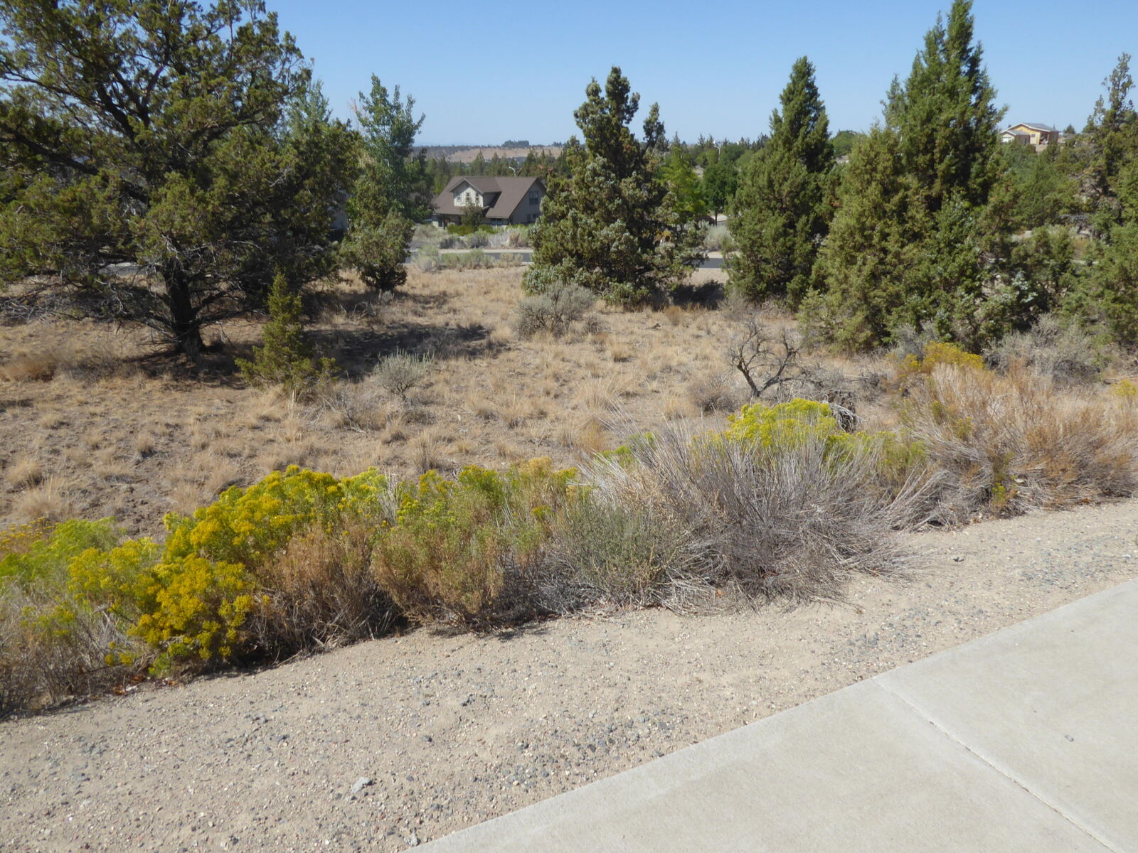 Property Photo:  356 SE Manzanita Drive  OR 97741 