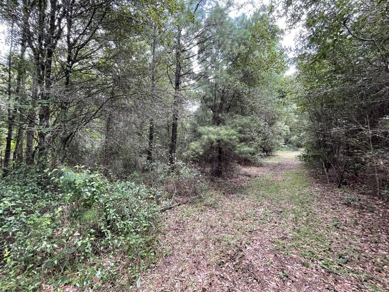 Property Photo:  NW Lovett Road  FL 32331 