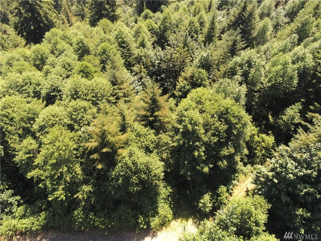 Property Photo:  0 Justus Rd  WA 98570 