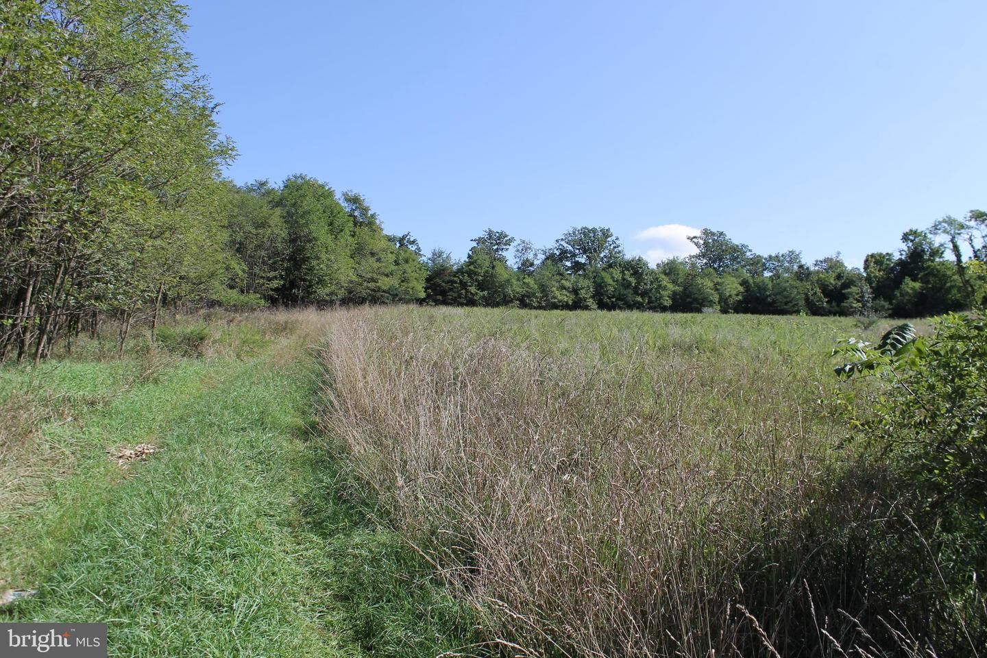 Property Photo:  5675 S Fork Little Cacapon Road  WV 26761 
