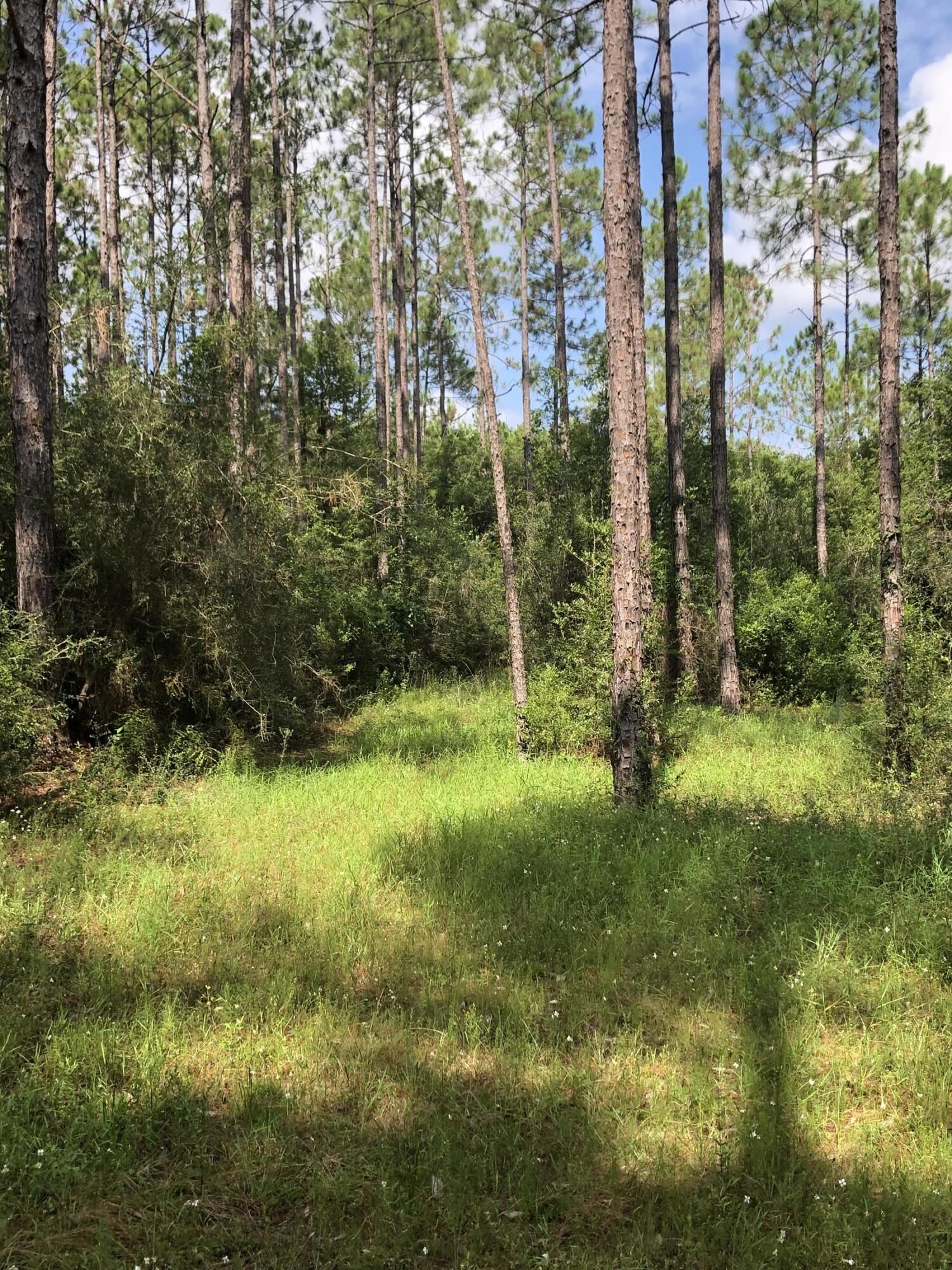 Property Photo: 0 Little Meadow Way FL 32567