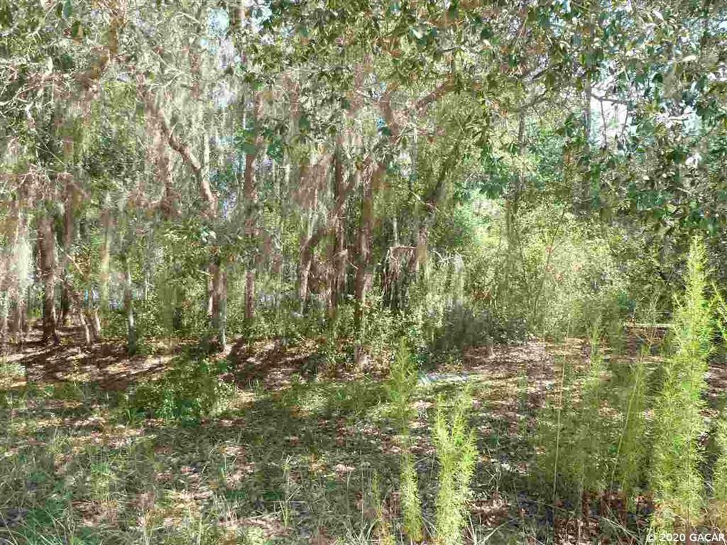 194 Indian Lakes Road  Hawthorne FL 32640 photo