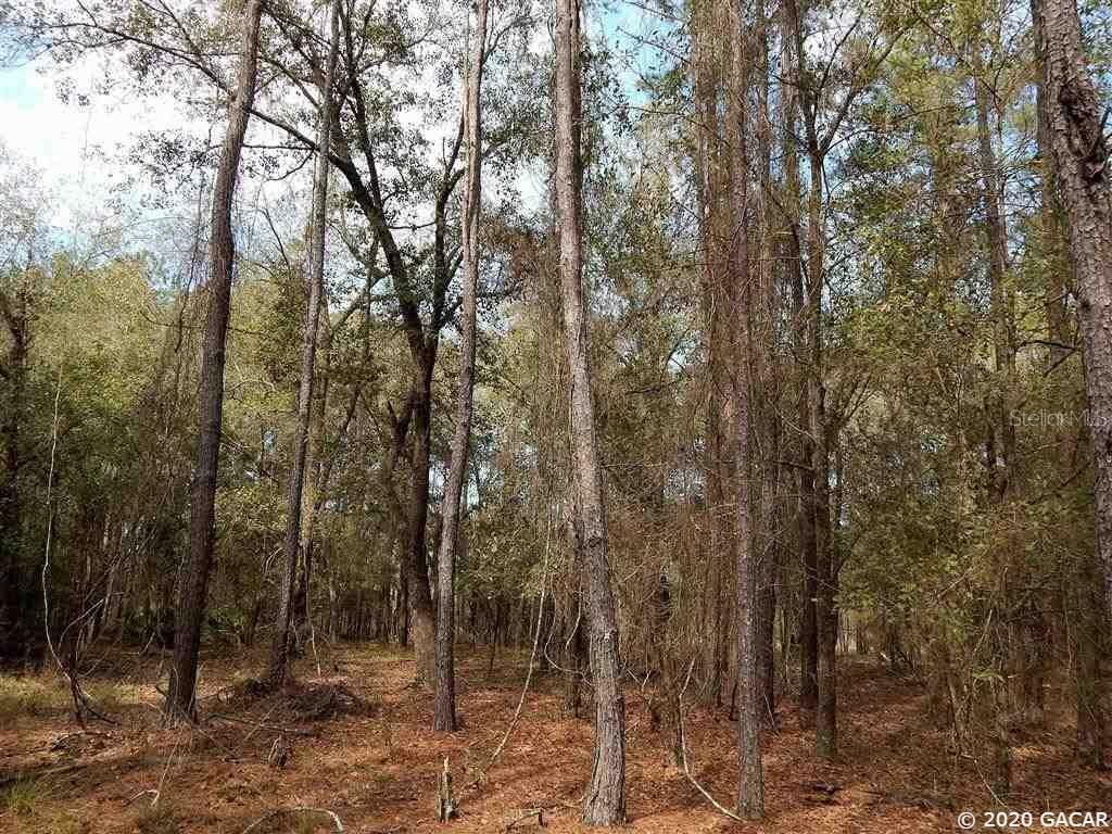 Property Photo:  00 NE Asbell Creek Road  FL 32621 