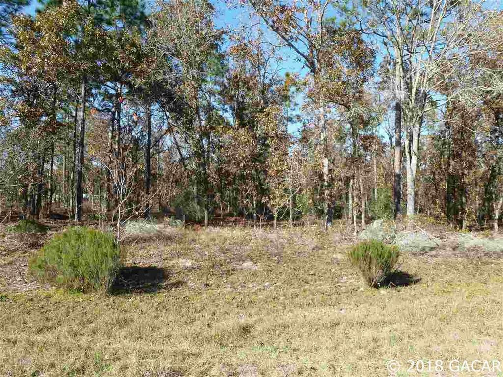 Property Photo:  000 Silver Dollar Drive  FL 32640 