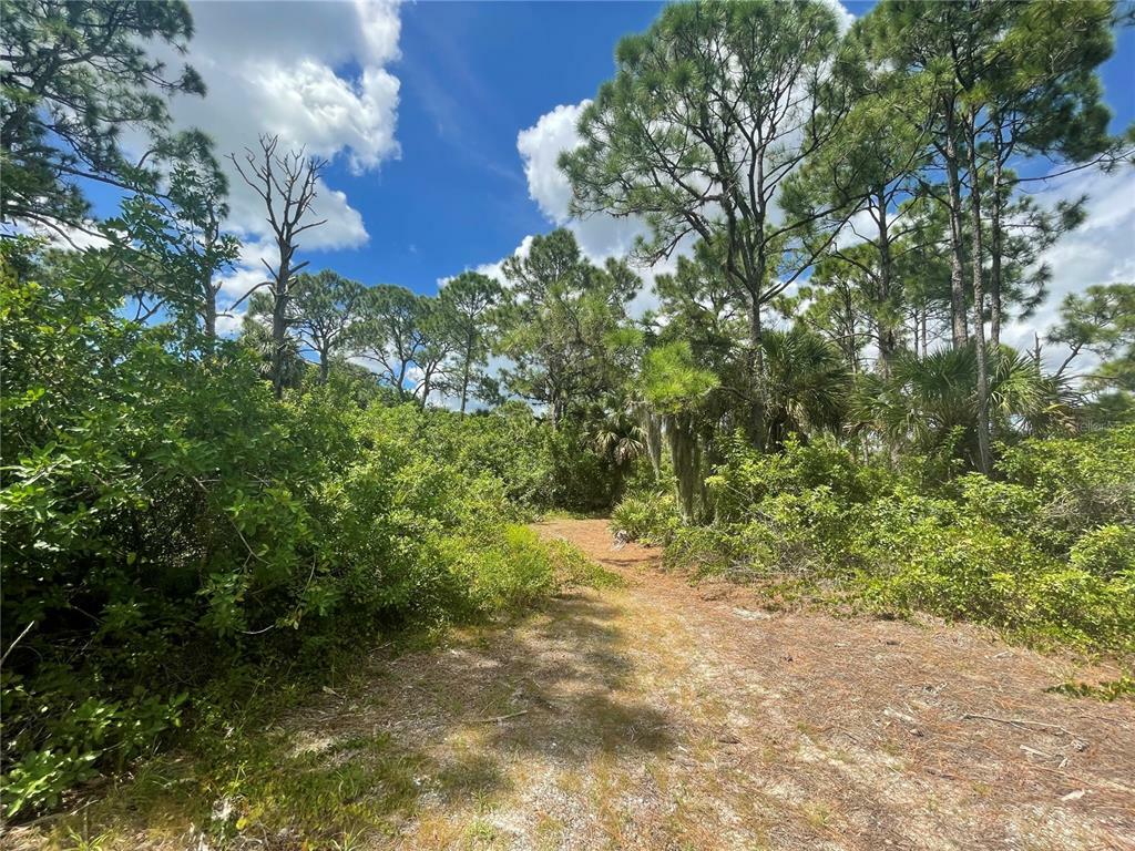 Property Photo:  11685 Oceanspray Boulevard  FL 34224 